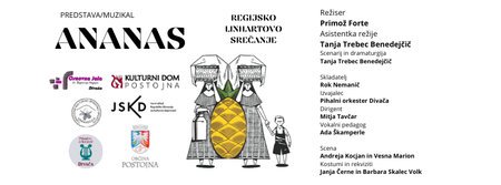 Družinski muzikal Ananas je primeren tako za otroke od 5. leta dalje, kot tudi za mladino in odrasle. 